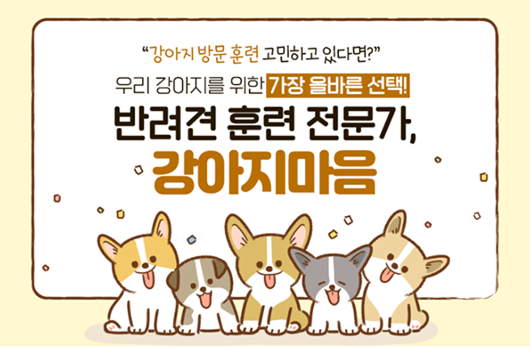 강아지 방문 훈련 고민된다면? 강아지마음에서 올바르게 훈련 시작하기